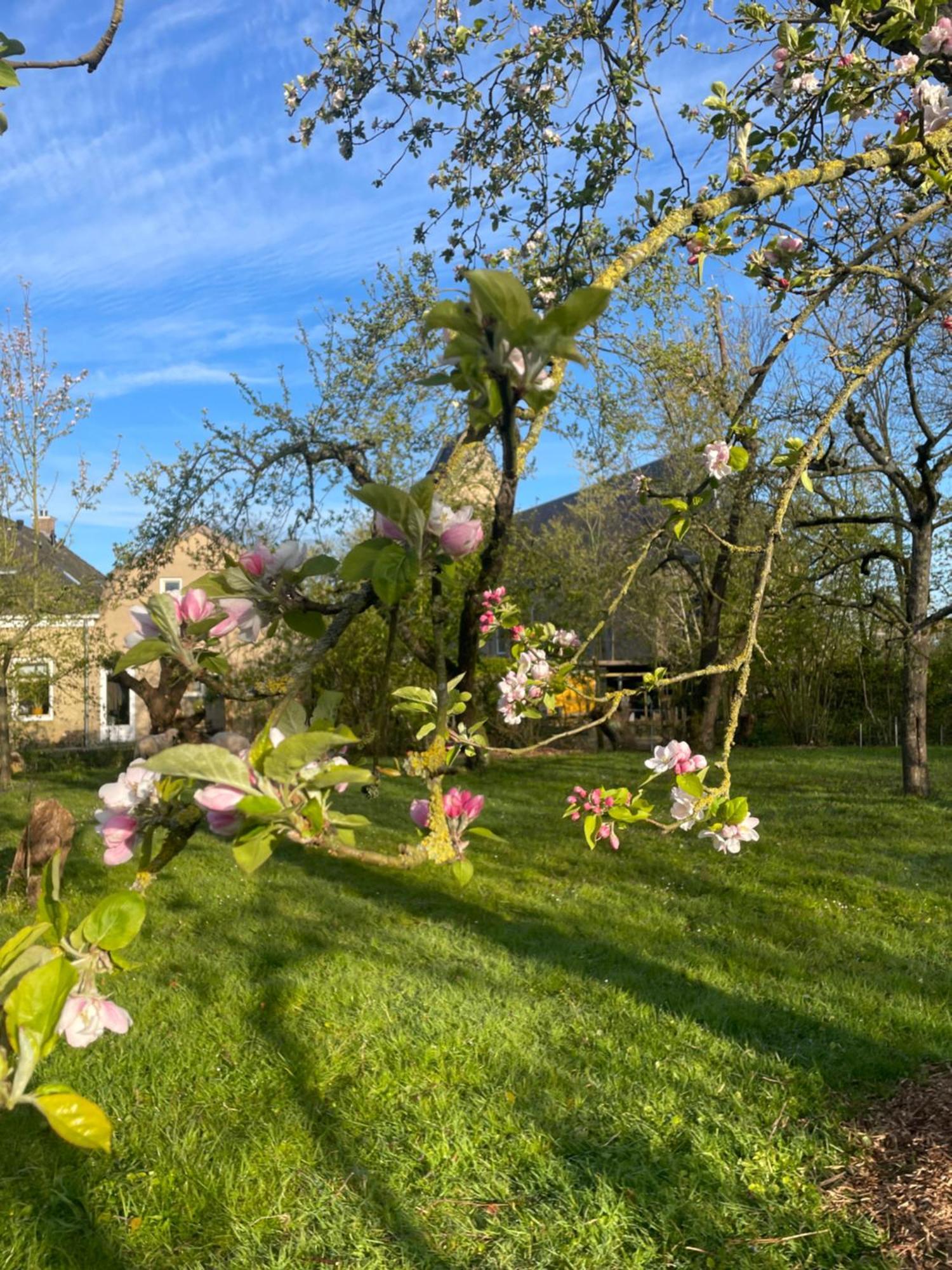Appartement De Dageraad In Monumentale Boerderij Kimswerd Eksteriør bilde